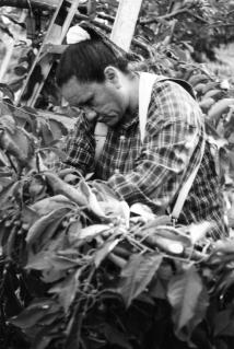 Migrant farm worker